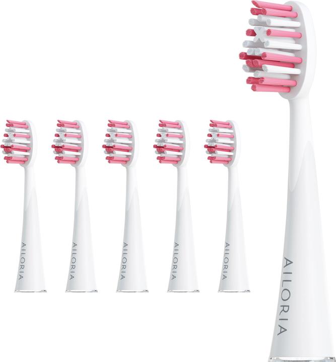Actual product image Ailoria Shine Bright (6 x)