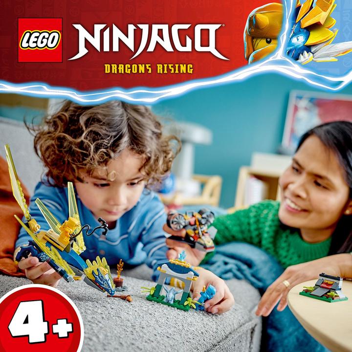Produktbild LEGO Duell zwischen Nya und Arins Babydrachen (71798, LEGO Ninjago)