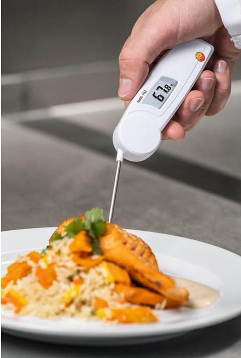 Actual product image Testo Insertion thermometer