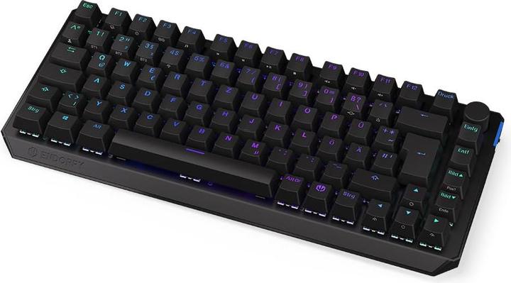 Endorfy Thock 75% (DE, Wireless)