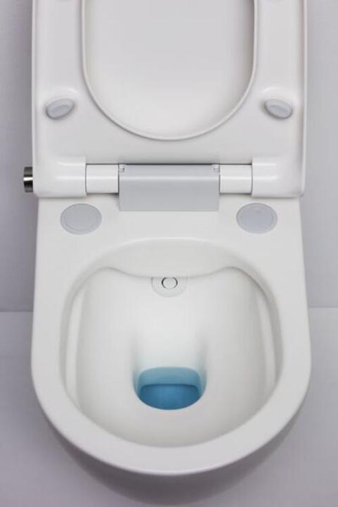 Actual product image Laufen Cleanet Riva