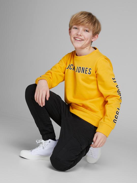 Produktbild Jack & Jones Paul Flake (128)
