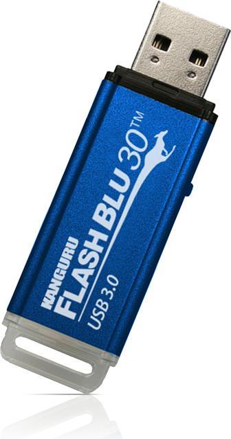 iStorage 32GB Kanguru FlashBlu30 (32 GB, USB-C)