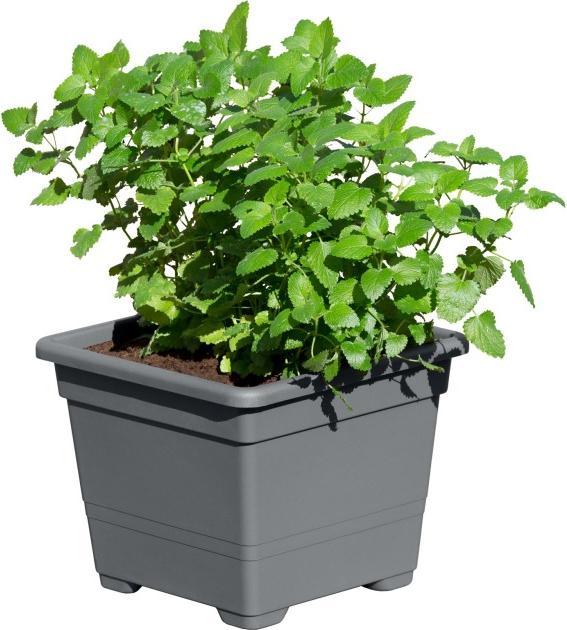 Produktbild Larus Pflanzbehälter