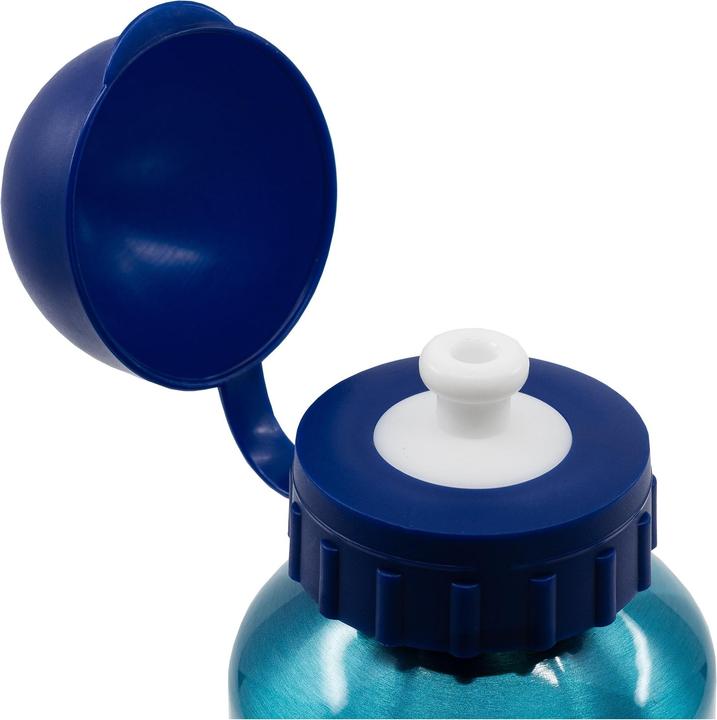 Image du produit Bluey Water Bottle (0.40 l)