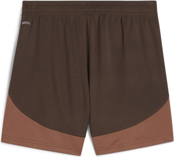 Actual product image Puma FCSP Home Shorts Jr (164)
