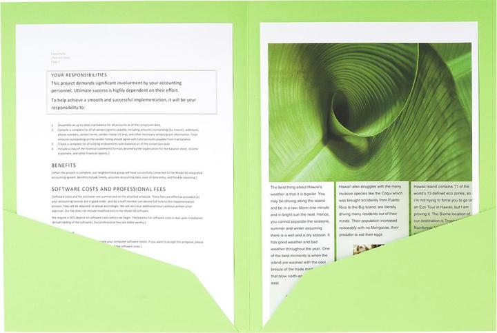 Produktbild Exacompta Aktenmappe (A4, 1 x)