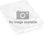 Produktbild Lenovo ThinkPad 1TB PCIe NVMe M.2 (1000 GB, M.2 2242)