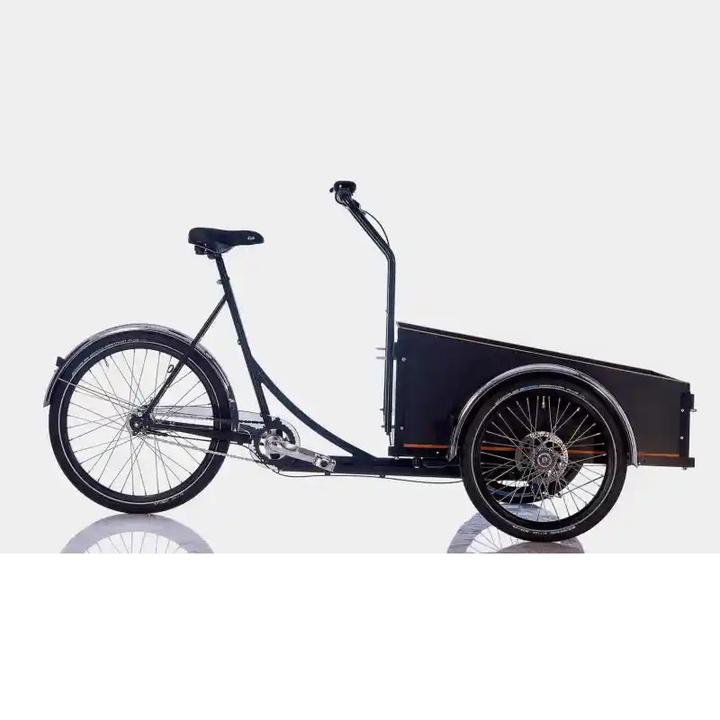 Image du produit Tern Bicycles BYB P8 (50 cm)