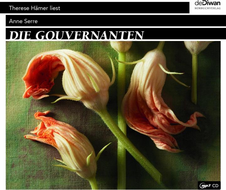 Produktbild Die Gouvernanten (Patricia Klobusiczky, Anne Serre, Tina Walz, Therese Hämer, Deutsch)