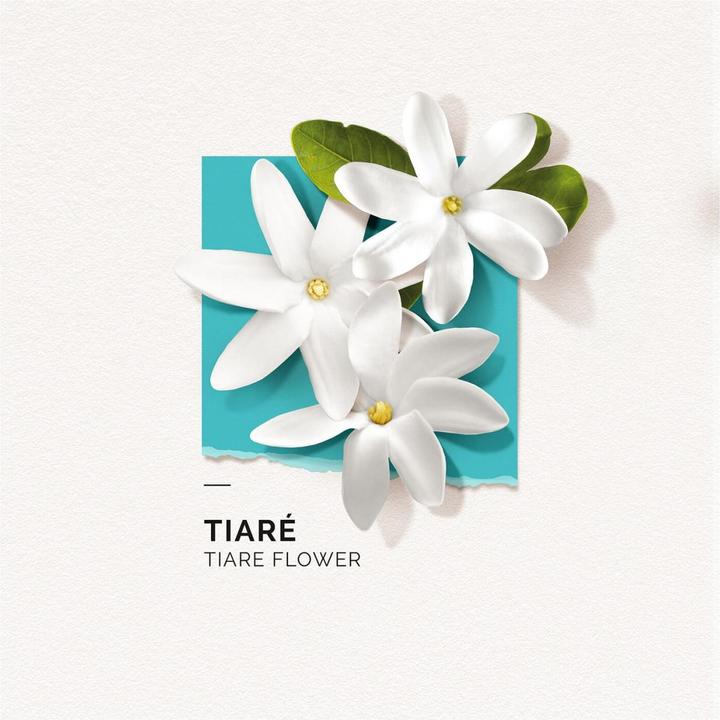 Actual product image Solinotes Paris Solinotes - Tiaré Eau De Parfum (Eau de parfum, 50 ml)