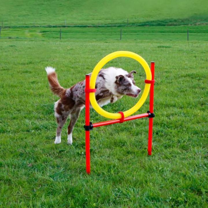 Produktbild Kerbl Komplett-Set (One Size, Agility)