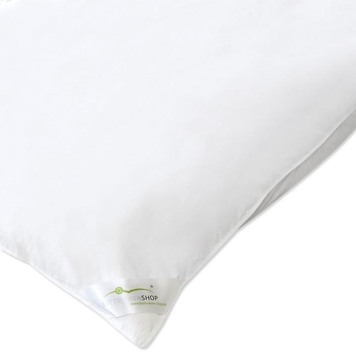 Produktbild Traumschlaf Ballon (3000 g, 155 x 220 cm)