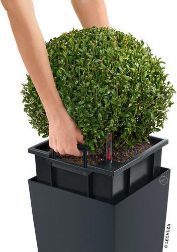 Produktbild Lechuza Cubico (50 cm)