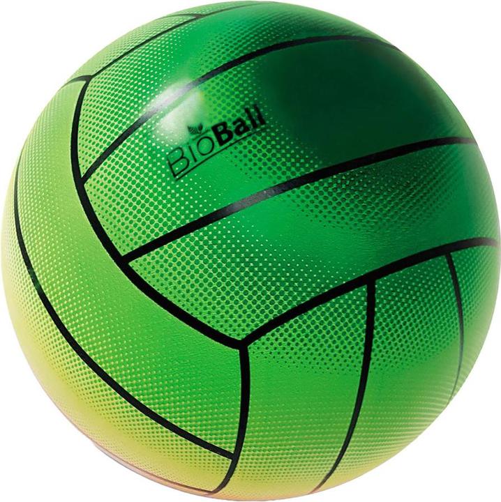 Actual product image Mondo Balloon Volley Pixel Bio 21cm