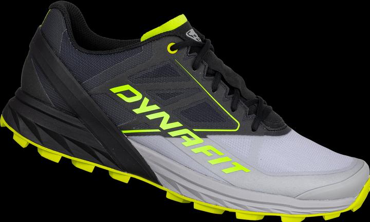 Produktbild Dynafit Alpine Laufschuh (45)