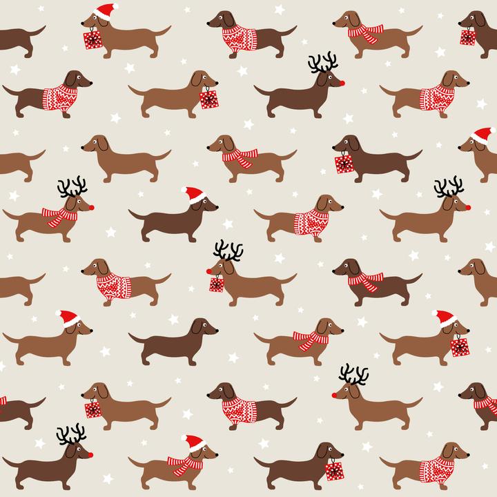 Actual product image Christmas dachshund (20 x, 33 x 33 cm)