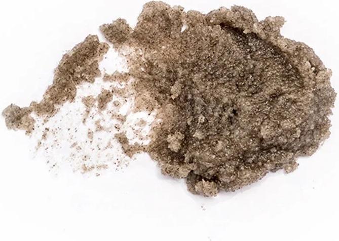 Actual product image Angan Icelandic Moss Salt Scrub (100 ml)