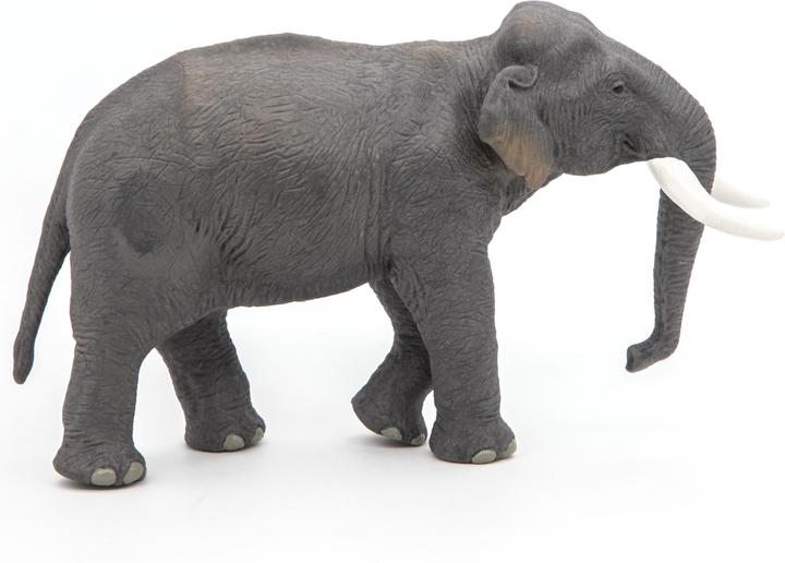 Produktbild Papo Asiatischer Elefant