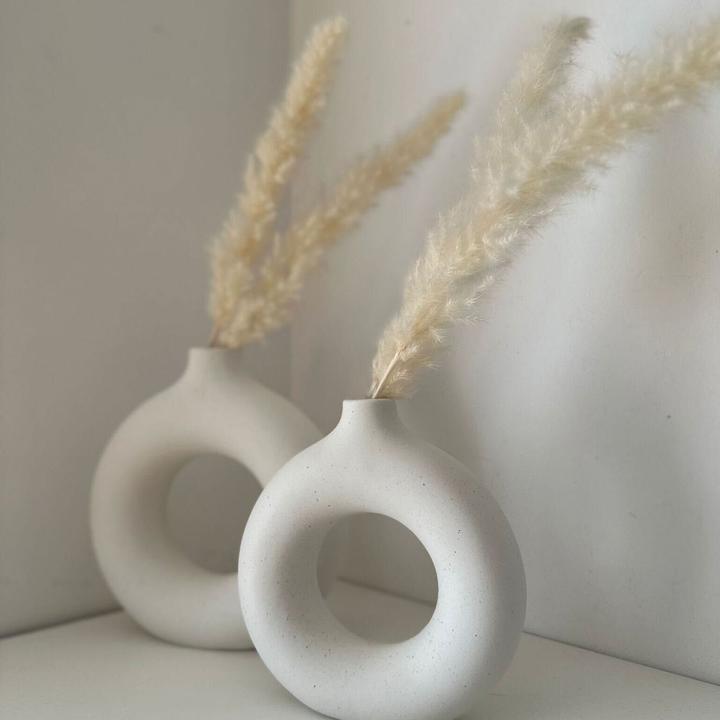 Produktbild Intirilife Pampasgras (5 cm)