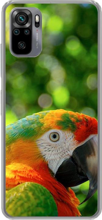 Parrot