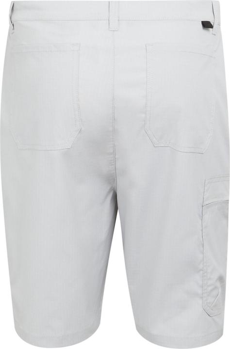 Actual product image Regatta Mens Dalry Multi Pocket Shorts (32)
