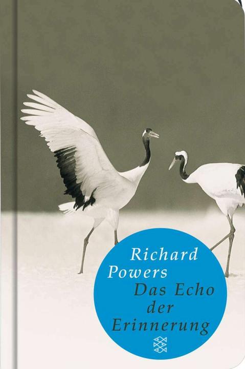 Produktbild Das Echo der Erinnerung (Deutsch, Richard Powers)