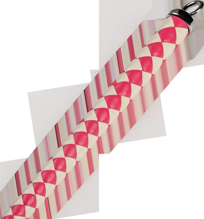 Immagine prodotto Rise 120cm Bull Whip - Pink/White