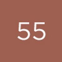 Actual product image Diego dalla Palma Push Up Gloss No 55 (55)