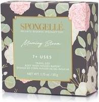 Actual product image Spongellé Bodywash Eucalyptus Rain