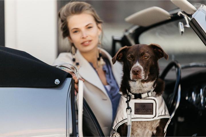 Produktbild Kentucky Dogwear Hundehalsband Reflective (S, Hund, Allgemein)