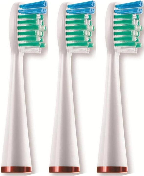 Waterpik Standard (3 x)