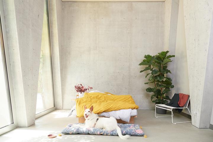 Image du produit lavie Louise (Housse de couette, 200 x 210 cm)