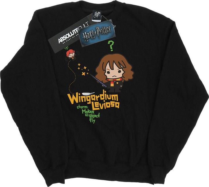 Wingardium Leviosa Sweatshirt Jungen