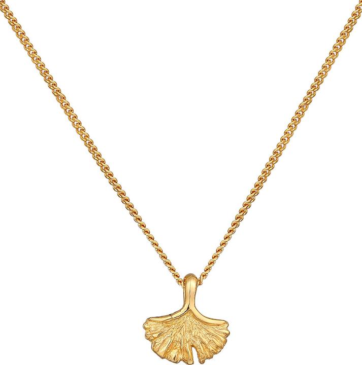 Produktbild Elli PREMIUM Halskette Ginkgo Blatt Anhänger Natur 375er Gelbgold (375 Gelbgold, 45 cm)