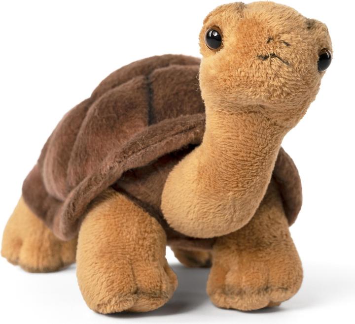 Image du produit Living Nature Tortue (22 cm)