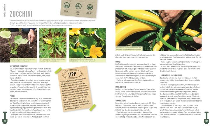 Produktbild Ackerhelden - Biogärtnern für Einsteiger (Deutsch, Ackerhelden GmbH, 2022)
