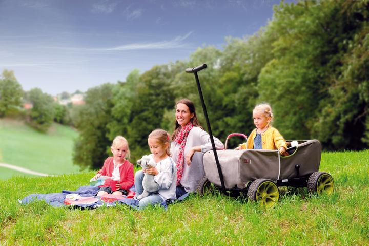 Actual product image Hauck Forest