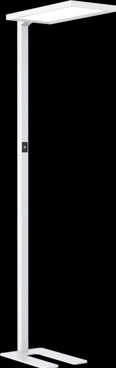 Actual product image Dotlux LED floor lamp ROOFbutler (8800 lm)