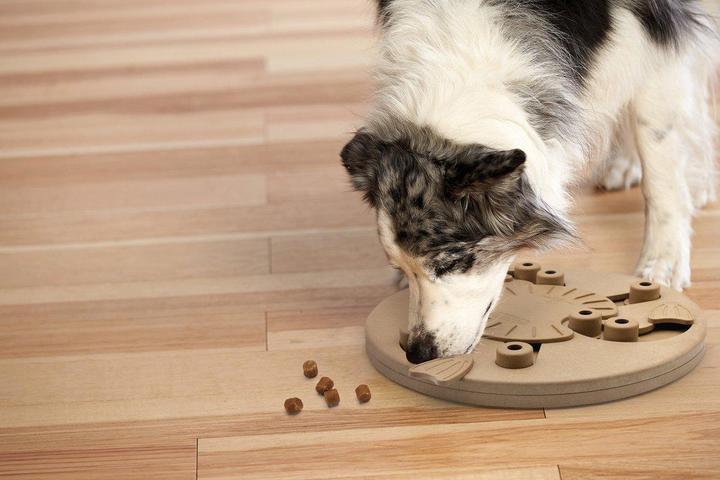 Actual product image Nina Ottosson Nina Ottoson Dog Worker Composite (Tug toy dog)