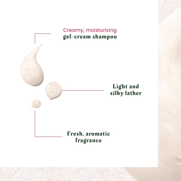 Actual product image Rene Furterer Neopur (150 ml, Liquid shampoo)