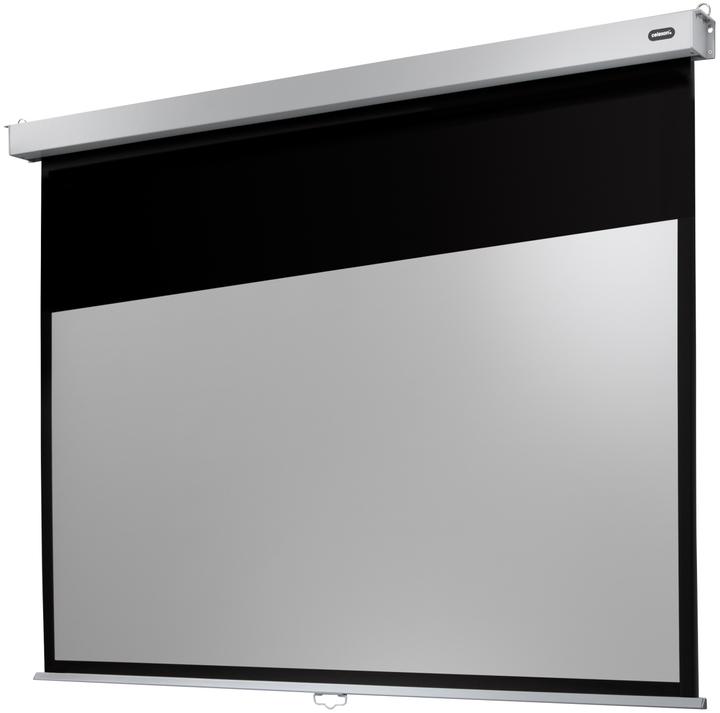 Actual product image Celexon Professional Line (122.05", 16:9)