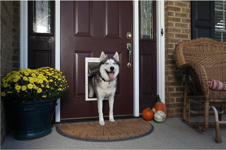Actual product image PetSafe Extreme Weather (Manual cat flap)