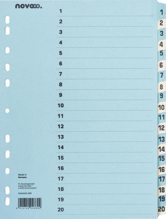 Actual product image Novooo Cardboard index blue/beige A4
