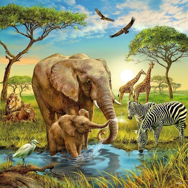 Produktbild Ravensburger Tiere der Erde (49 Teile)