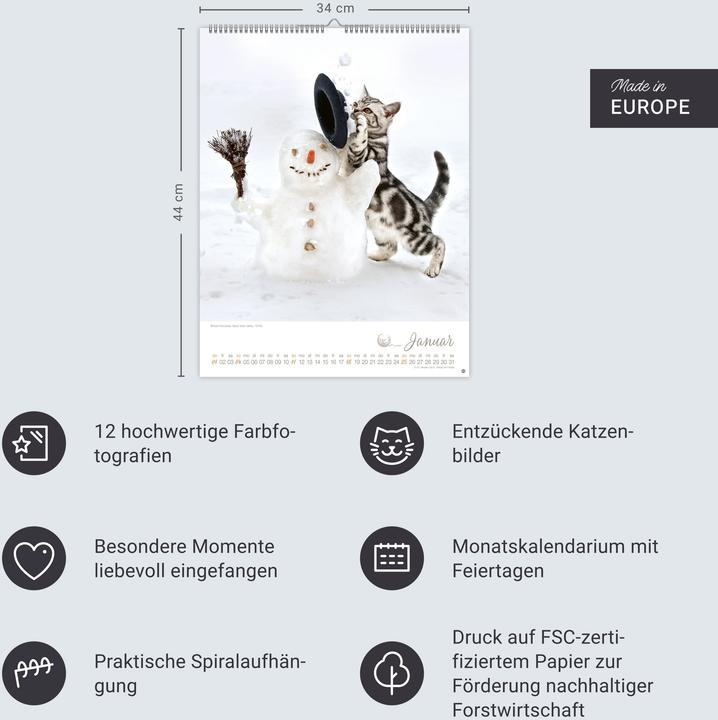Produktbild Katzenkinder Posterkalender 2026 (34 x 44 cm, Harter Einband, Deutsch)