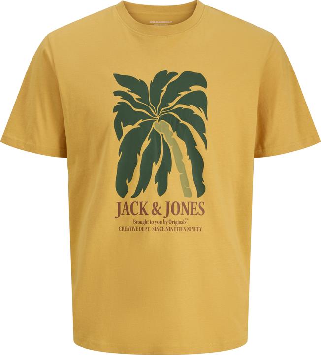 Jack & Jones Jordown Tee Ss Crew Neck Stydss25