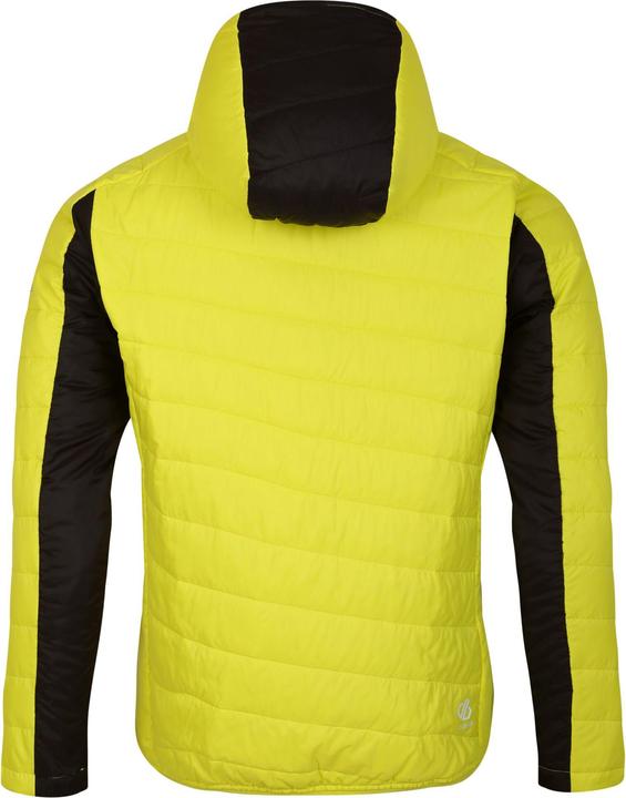Immagine prodotto Dare2b Touring Giacca Imbottita Uomo (L)