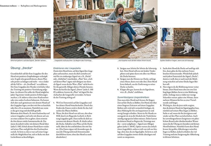 Produktbild Kosmos Hundetraining mit Martin Rütter (Deutsch, Martin Rütter, Andrea Buisman, 2022)