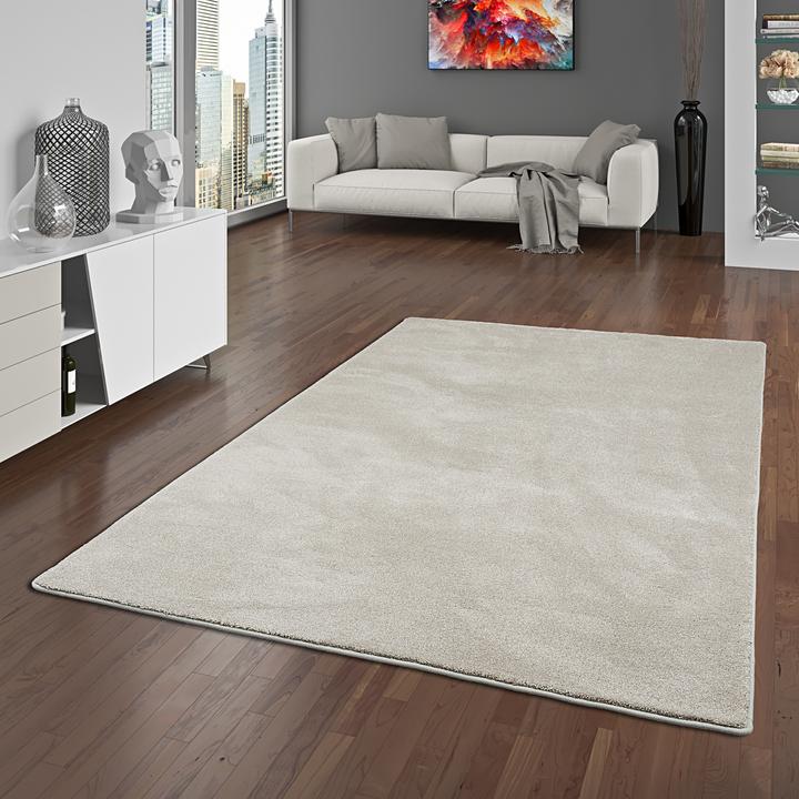 Produktbild Snapstyle Hochflor Luxus Velours Teppich Touch (80 x 400 cm)